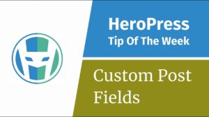 An Introduction to WordPress Custom Fields