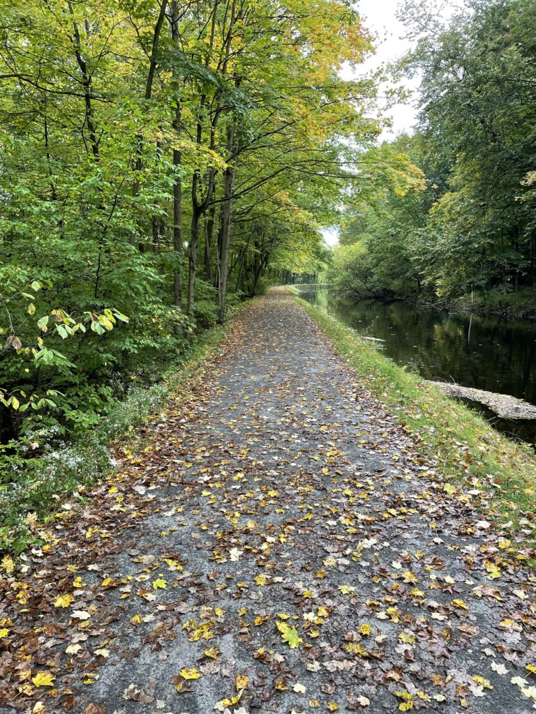 Paved path with forest on the left, and a canal on the right.