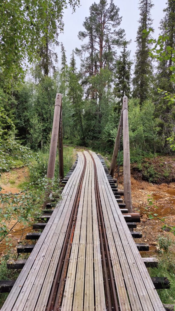 A raised wooden path through the forest.