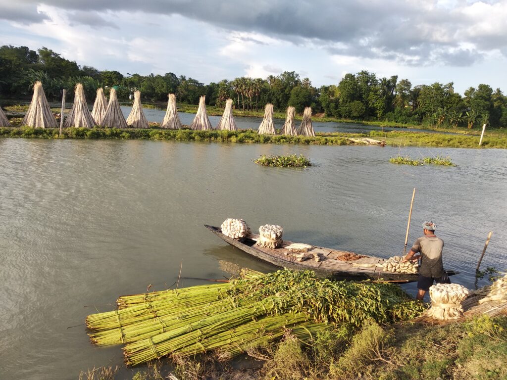Person working next to water making what look like sugar cane shucks.