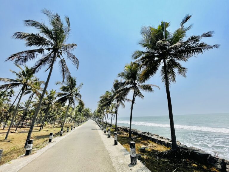Sunny boardwalk by the ocean with palm trees on either side.