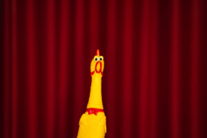 Screaming rubber chicken in front of a curtain