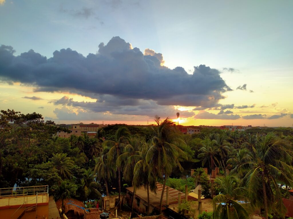 Looking across country from tree-top level. Lots of palm trees in the foreground. It's sunset, with some towering clouds obscuring the sun.